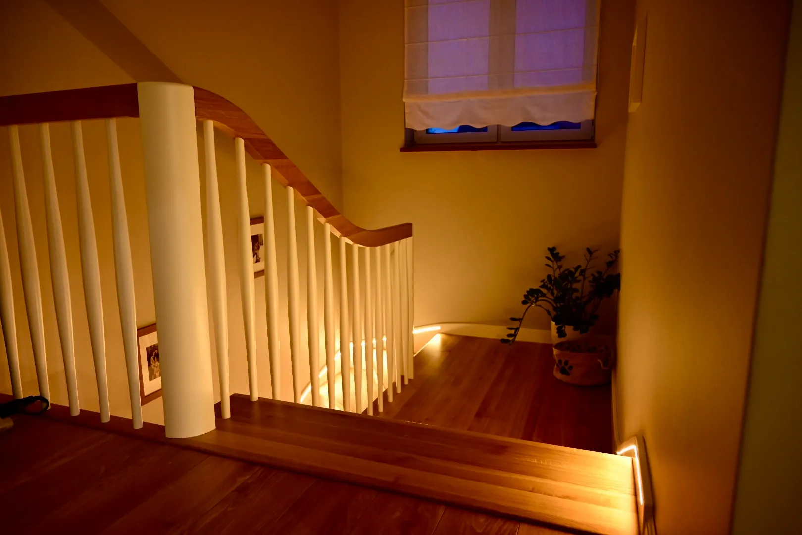 Schody wewnętrzne drewniane, widok na podstopnice